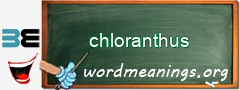 WordMeaning blackboard for chloranthus